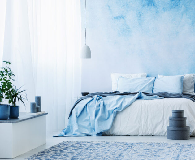 Luxury Wallpaper Cleaning Tips | Rainy Weather, Moisture & Damp | Designer Wallpaper Installation In Melbourne