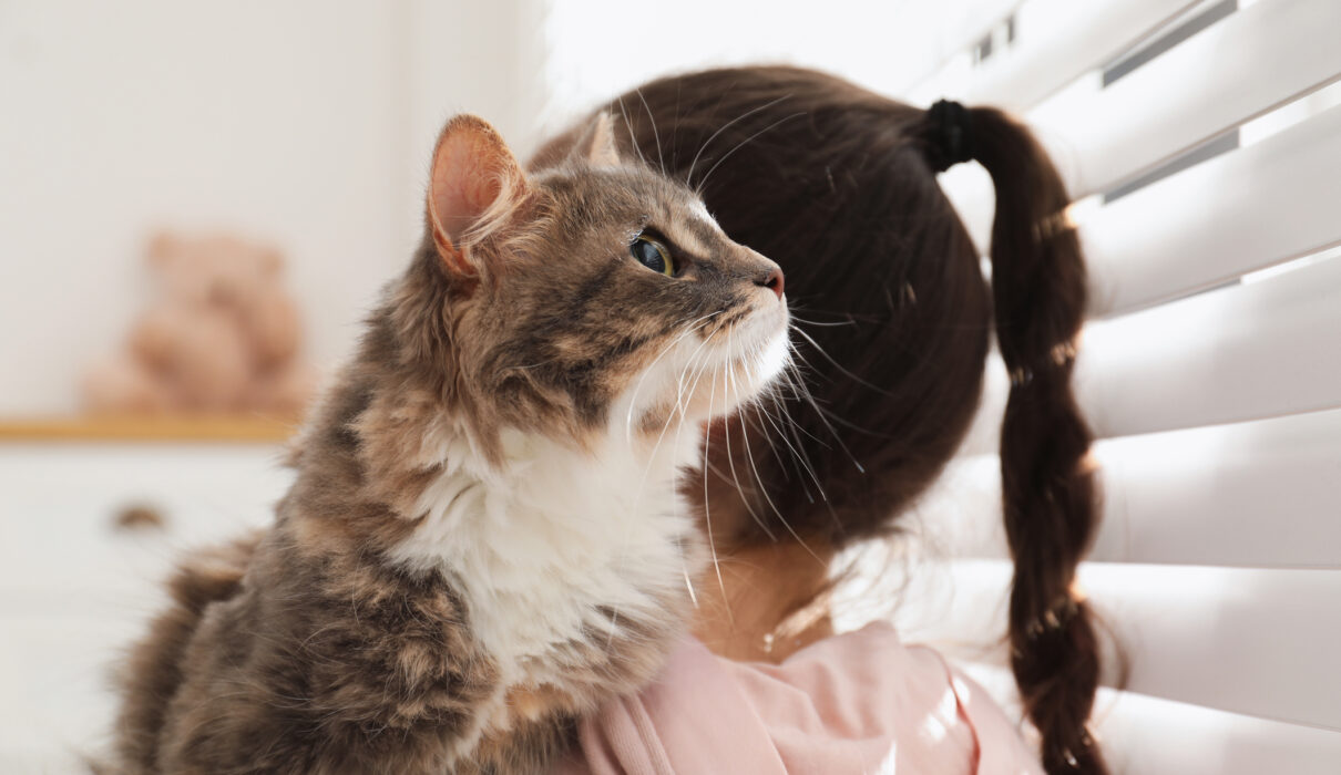 Designer Interior Shutters For Family Homes | Automated, Motorised Window Shades | Child-Safe & Pet-Safe Design | Melbourne