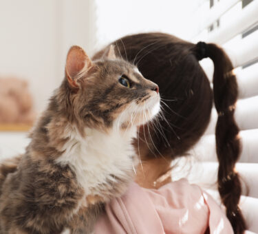 Designer Interior Shutters For Family Homes | Automated, Motorised Window Shades | Child-Safe & Pet-Safe Design | Melbourne