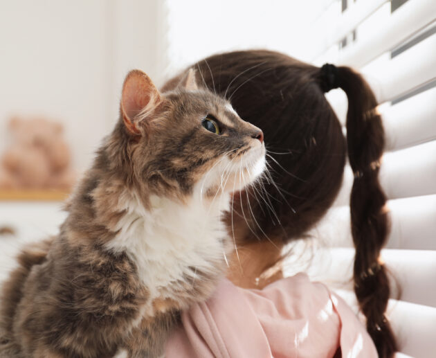 Designer Interior Shutters For Family Homes | Automated, Motorised Window Shades | Child-Safe & Pet-Safe Design | Melbourne