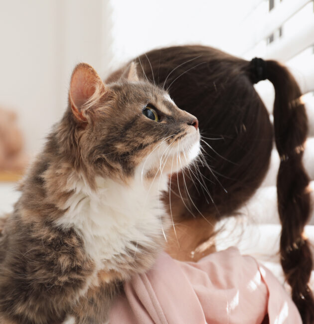 Designer Interior Shutters For Family Homes | Automated, Motorised Window Shades | Child-Safe & Pet-Safe Design | Melbourne