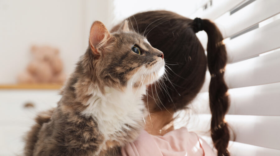 Designer Interior Shutters For Family Homes | Automated, Motorised Window Shades | Child-Safe & Pet-Safe Design | Melbourne