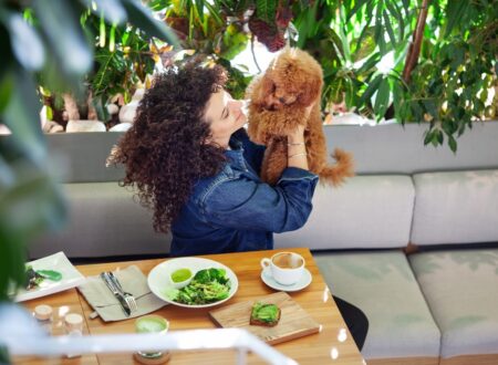 Best Plant-Based Menopause Meal Plan | Registered Dietitian in Australia | High Protein | Hormone & Weight Management for Women’s Health Nutrition