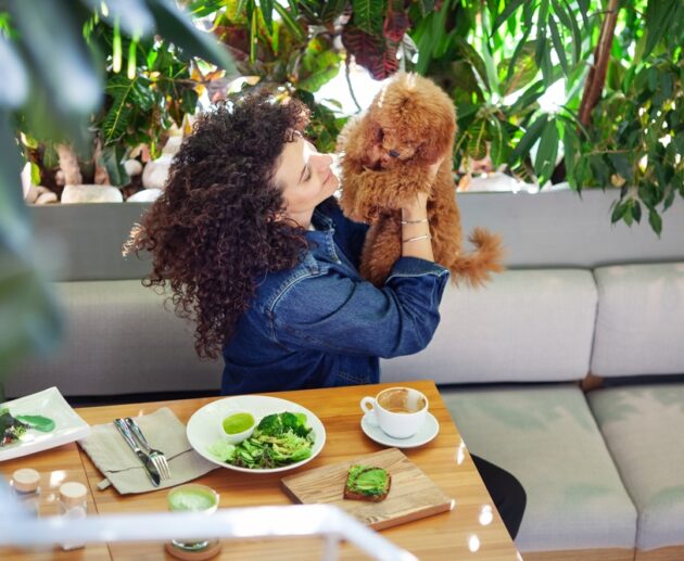 Best Plant-Based Menopause Meal Plan | Registered Dietitian in Australia | High Protein | Hormone & Weight Management for Women’s Health Nutrition