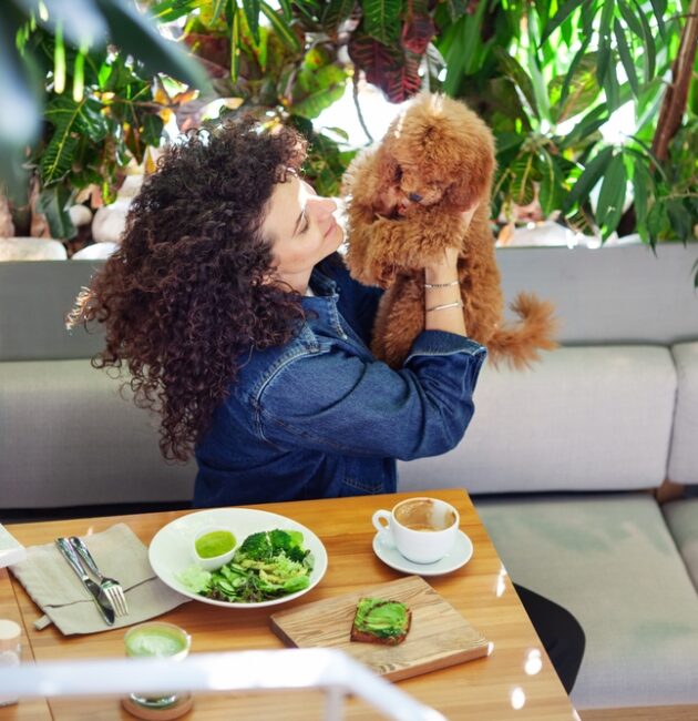 Best Plant-Based Menopause Meal Plan | Registered Dietitian in Australia | High Protein | Hormone & Weight Management for Women’s Health Nutrition