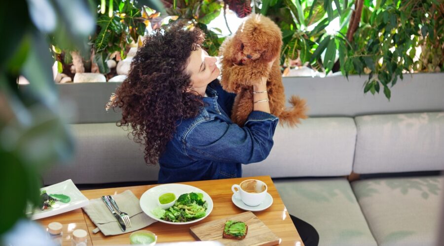 Best Plant-Based Menopause Meal Plan | Registered Dietitian in Australia | High Protein | Hormone & Weight Management for Women’s Health Nutrition