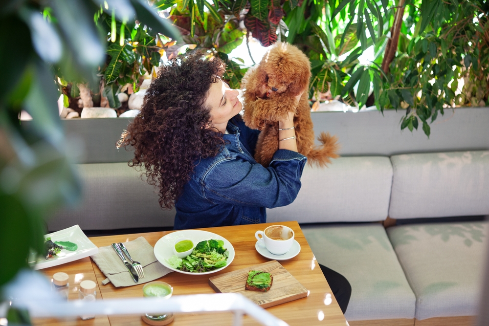 Best Plant-Based Menopause Meal Plan | Registered Dietitian in Australia | High Protein | Hormone & Weight Management for Women’s Health Nutrition